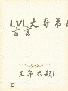 LVL大哥弟媳古言封面
