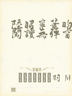 陆昭宁萧昀免费阅读无弹窗