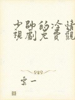 少帅的冷情妻电视剧免费观看