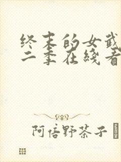 终末的女武神第二季在线看免费高清