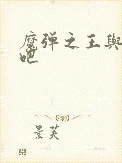 魔弹之王与战姬吧