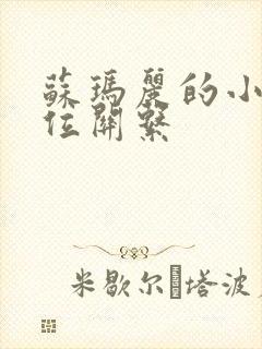 苏玛丽的小说错位关系