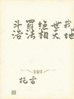 斗罗绝世我霍雨浩法相天地笔趣阁封面