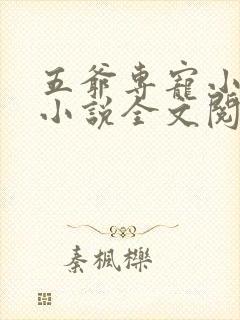 五爷专宠小娇妻小说全文阅读