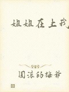 姐姐在上我在下