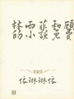 林雨菲和顾北潇的小说免费阅读