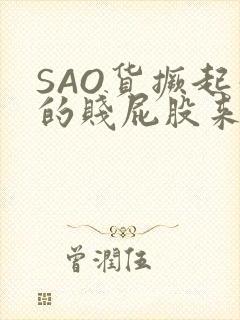 SAO货撅起你的贱屁股来