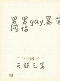 男男gay暴菊网站