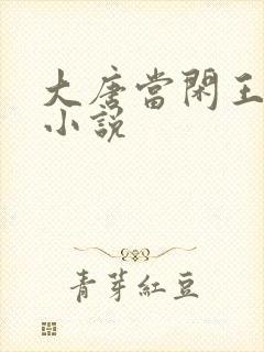 大唐当闲王李慎小说封面