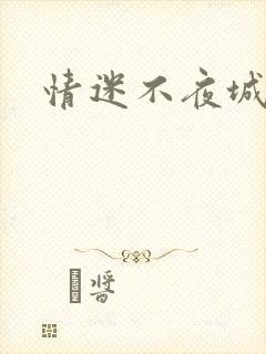 情迷不夜城
