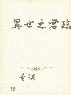 异世之君临天下封面