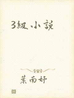 3级小说