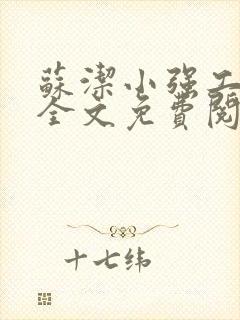 苏洁小强工地情全文免费阅读