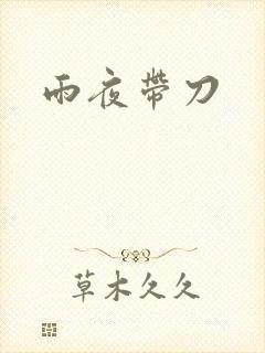 雨夜带刀封面