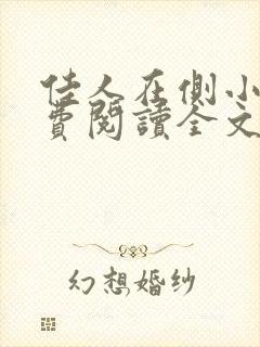 佳人在侧小说免费阅读全文无弹窗