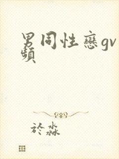 男同性恋gv视频