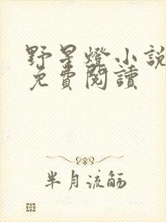 野星灯小说全文免费阅读