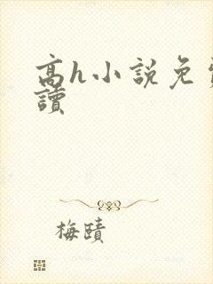 高h小说免费阅读