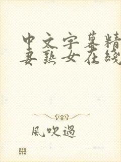 中文字幕精品人妻熟女在线观看