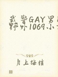 武警GAY男同野外1069小说封面