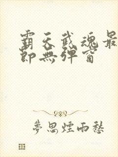 霸天武魂最新章节无弹窗封面