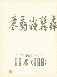 唐天小说免费大全阅读无弹窗封面