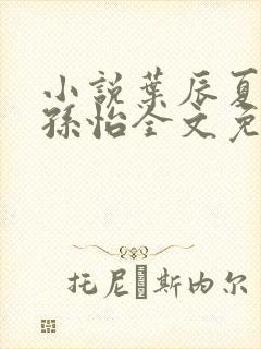 小说叶辰夏若雪孙怡全文免费阅读