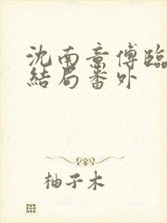 沈南意傅临洲大结局番外