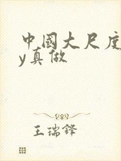 中国大尺度gay真做