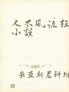 人不风流枉少年小说