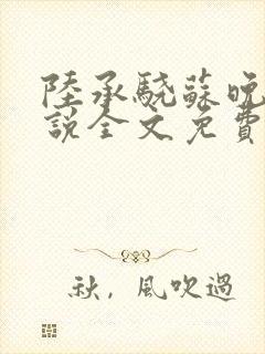 陆承骁苏晚晴小说全文免费阅读最新