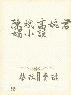 陈斌高婉君赵心媚小说