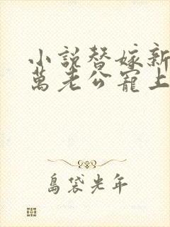 小说替嫁新娘亿万老公宠上天封面