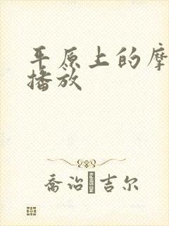 平原上的摩西 播放