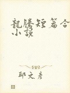龙腾短篇合集的小说