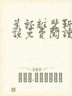 叶轻离裴靳墨小说免费阅读无弹窗封面