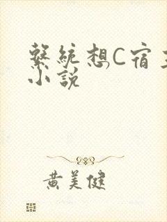 系统想C宿主的小说