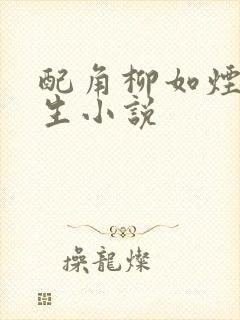 配角柳如烟的重生小说