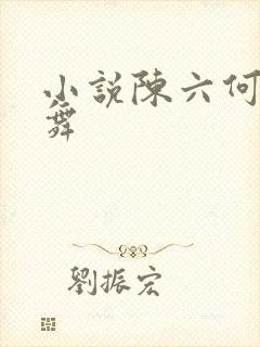 小说陈六何沈轻舞封面