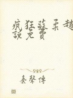 疯狂苏柔赵刚小说免费