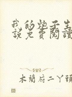 我的炮子生涯小说免费阅读无弹窗