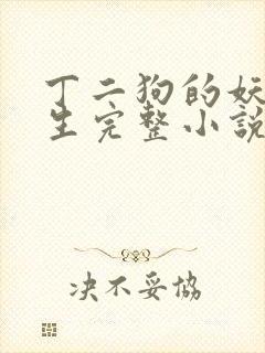 丁二狗的妖孽人生完整小说笔