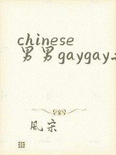 chinese男男gaygay无套网站