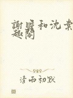 谢瞻和沈棠宁笔趣阁封面