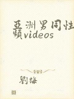 亚洲男同性恋视频videos封面