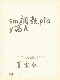 sm调教play高h