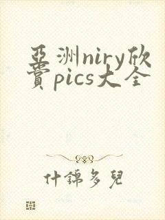 亚洲niry欣赏pics大全