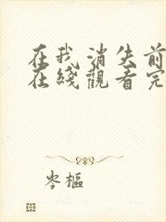 在我消失前电影在线观看完整版