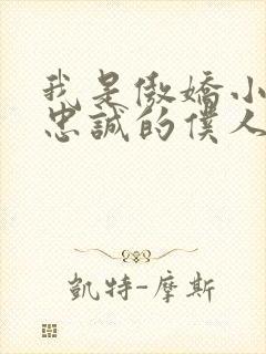 我是傲娇小魅魔忠诚的仆人动漫