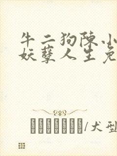 牛二狗陈小燕的妖孽人生免费阅读下载